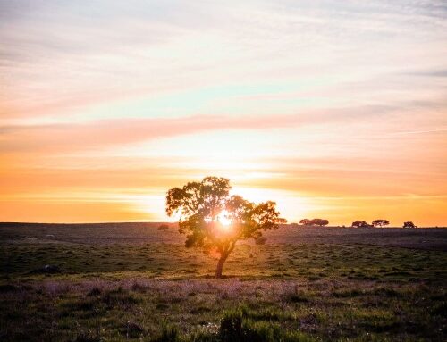 Der Alentejo