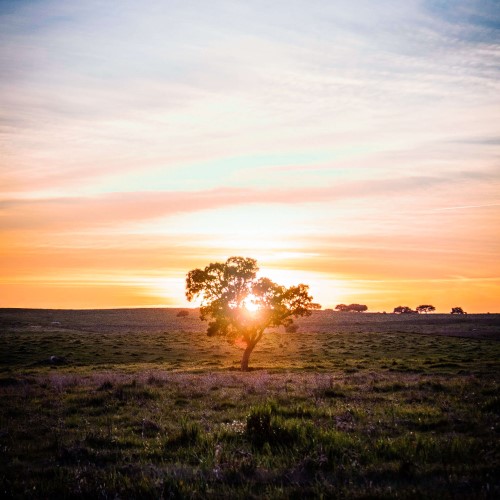 alentejo regionen blog